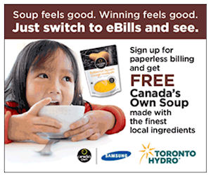 Toronto hydro discount coupons