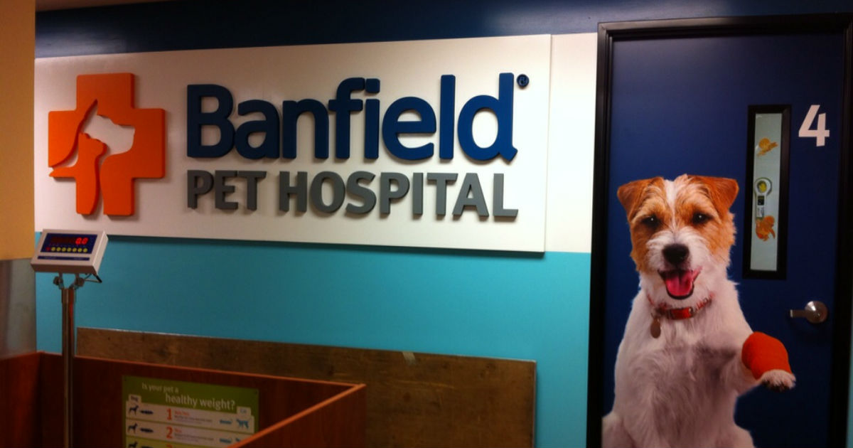 free first visit banfield