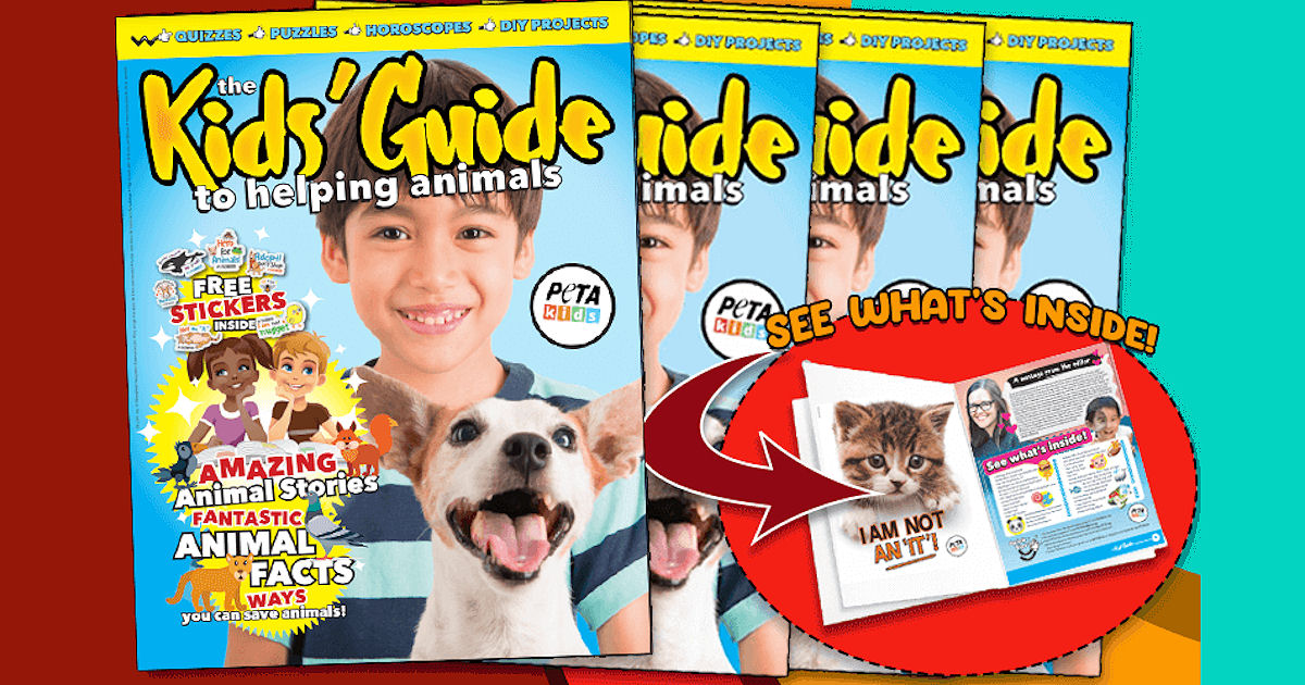 Kids Guide to Helping Animals