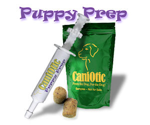 caniotic probiotic for dogs