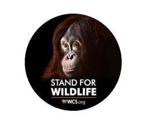 Stand for Wildlife