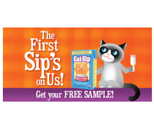 cat sip real milk