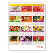2009 Xerox Calendar