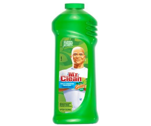 Mr. Clean Cleaner at Family Dollar for $1 with Coupon - Coupons