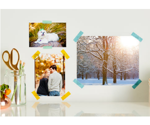 shutterfly