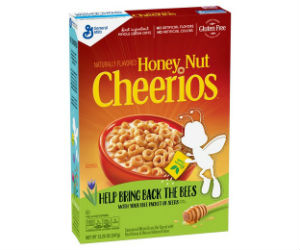 Honey Nut Cheerios at Walgreens