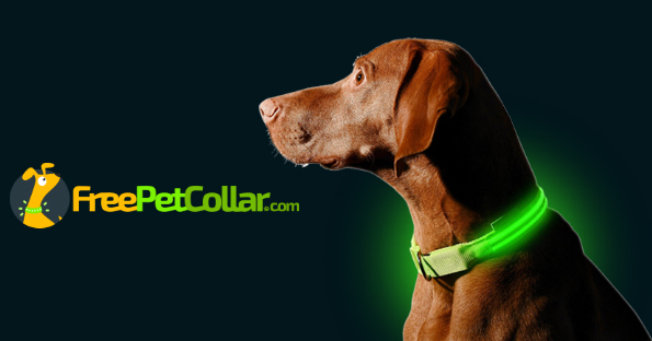 free l e d dog collar just pay shipping free stuff freebies