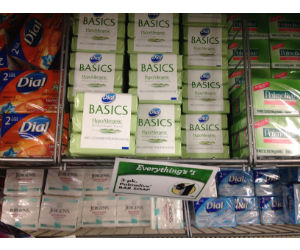 Dial Basics Bar Soap at Dollar Tree